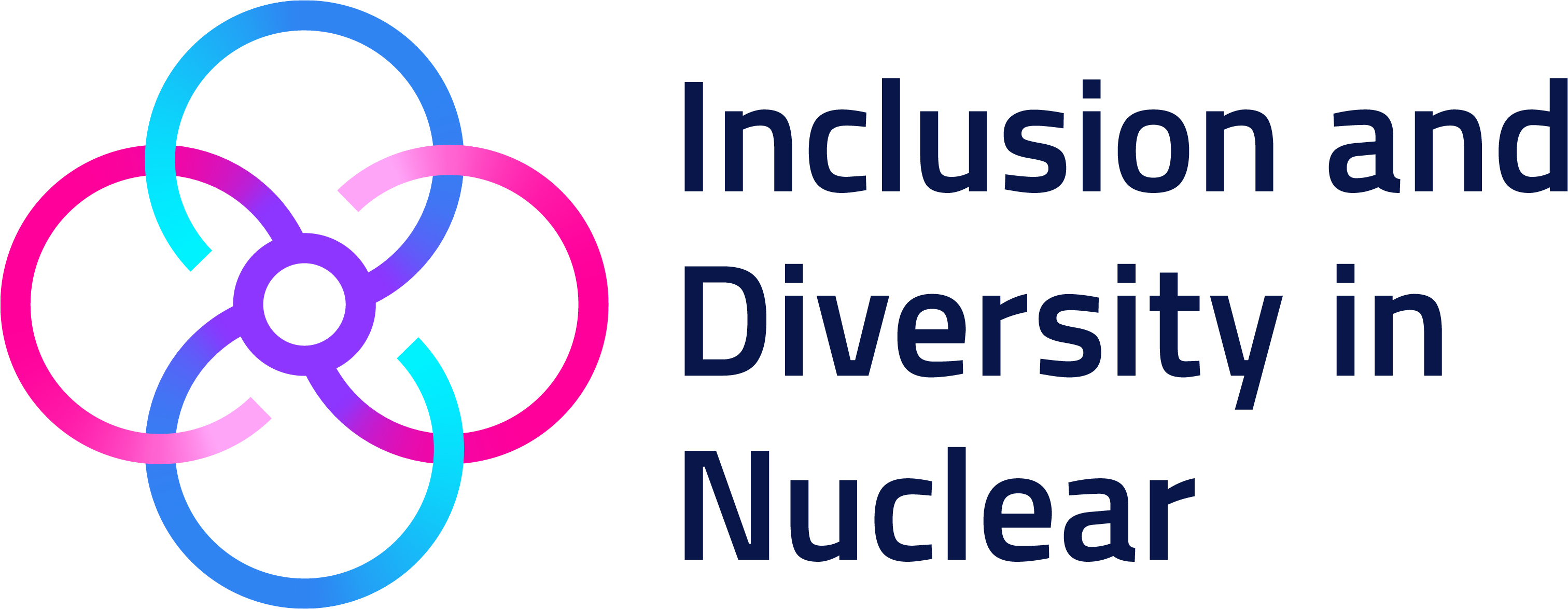 idn full colour logo rgb